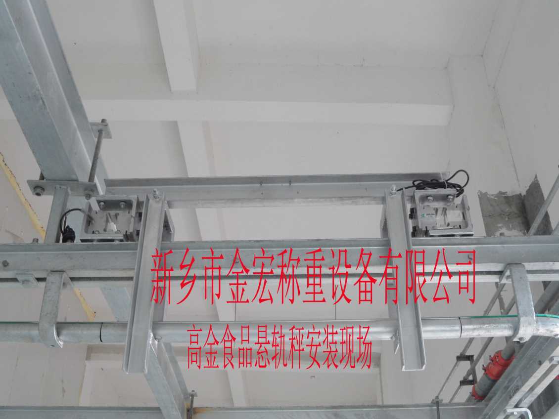郑州电子悬轨秤